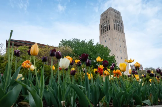Flowers bloom on Ingalls Mall. Burton Memorial Tower can be seen in the background against a blue sky.