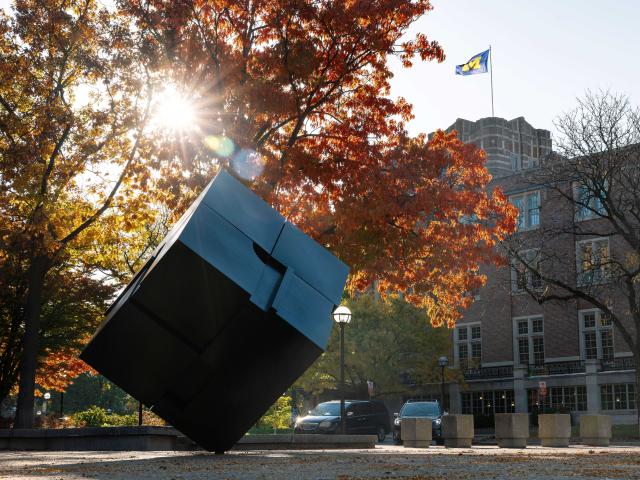 The cube in Regents Plaza surrounded by fall leaves of red and gold